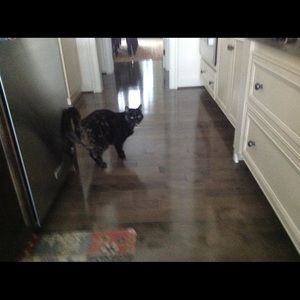 Meet your Posher, Margaret